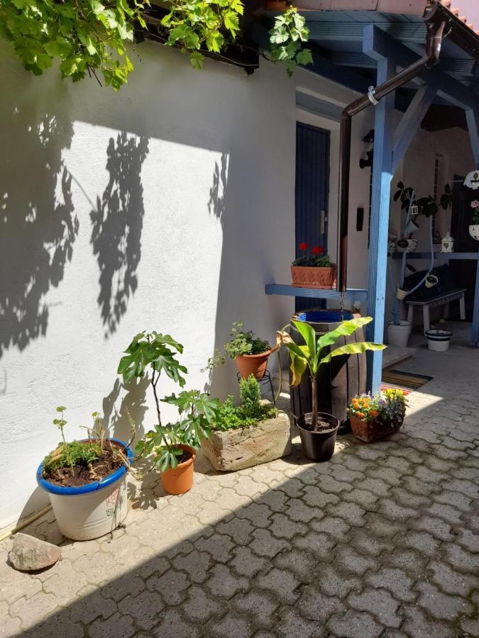 Ferienhaus Schick Und Fein Lägenhet Bochingen Exteriör bild